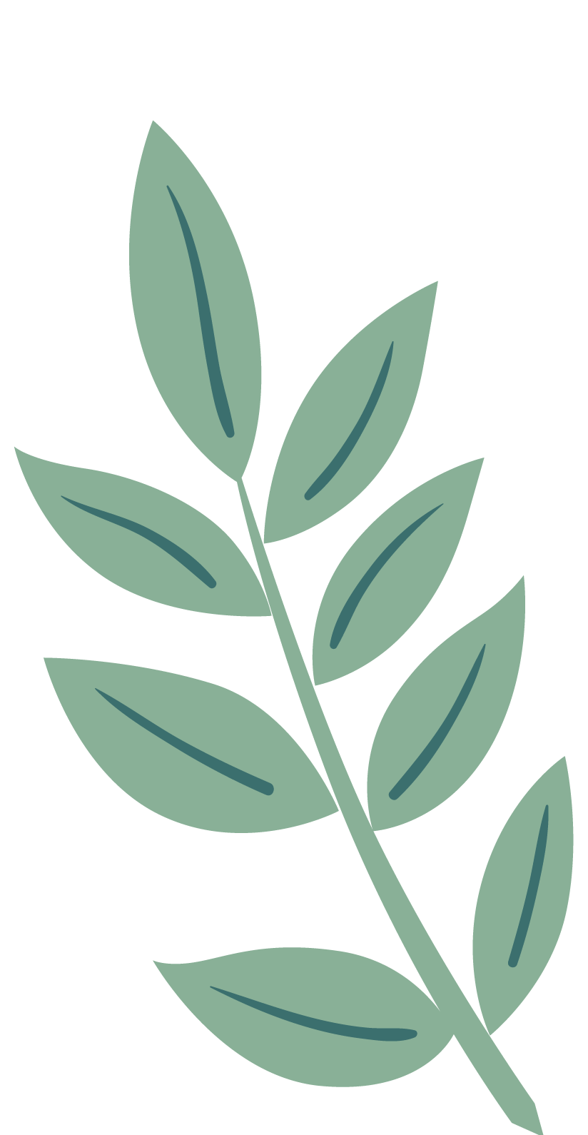 Fern leaf graphic